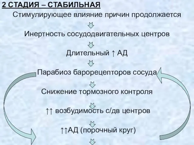 2 СТАДИЯ – СТАБИЛЬНАЯ Стимулирующее влияние причин продолжается Инертность сосудодвигательных центров