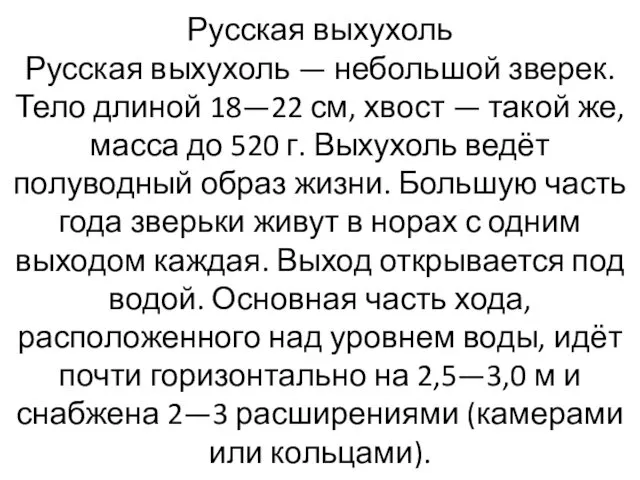 Русская выхухоль Русская выхухоль — небольшой зверек. Тело длиной 18—22 см,