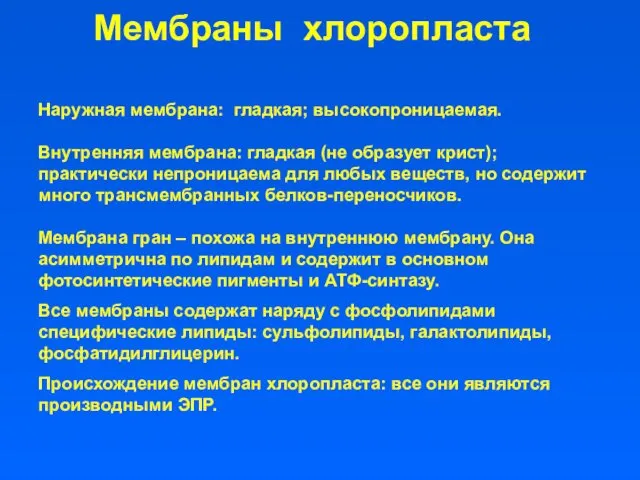 Мембраны хлоропласта Наружная мембрана: гладкая; высокопроницаемая. Внутренняя мембрана: гладкая (не образует