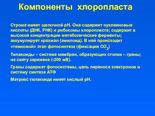 Компоненты хлоропласта Строма имеет щелочной рН. Она содержит нуклеиновые кислоты (ДНК,