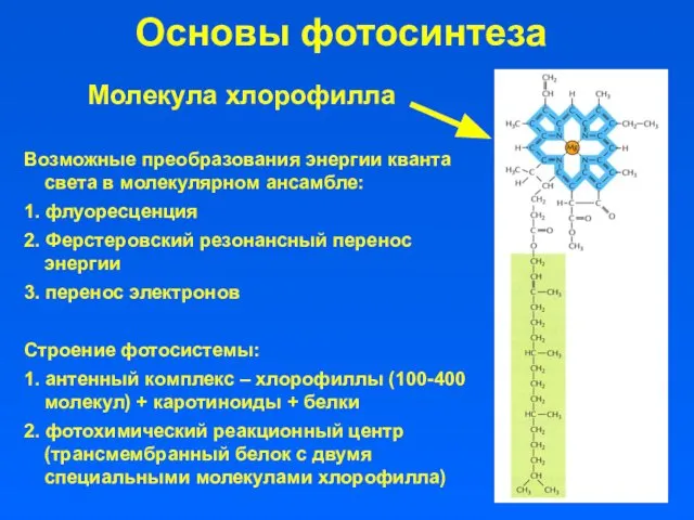 Основы фотосинтеза Возможные преобразования энергии кванта света в молекулярном ансамбле: 1.