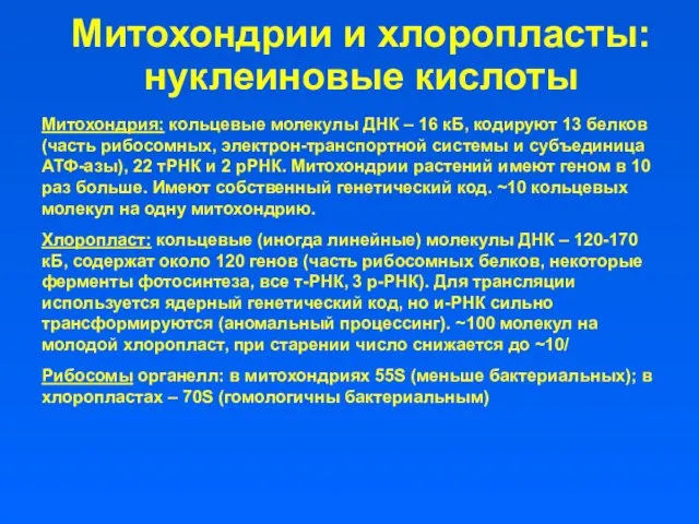 Митохондрии и хлоропласты: нуклеиновые кислоты Митохондрия: кольцевые молекулы ДНК – 16