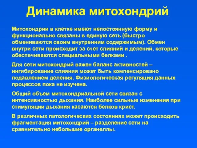 Динамика митохондрий Митохондрии в клетке имеют непостоянную форму и функционально связаны