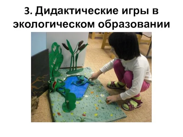 3. Дидактические игры в экологическом образовании