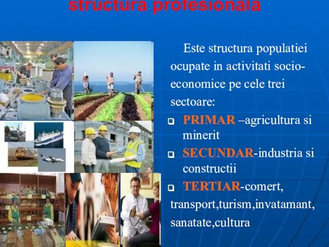 structura profesionala Este structura populatiei ocupate in activitati socio- economice pe