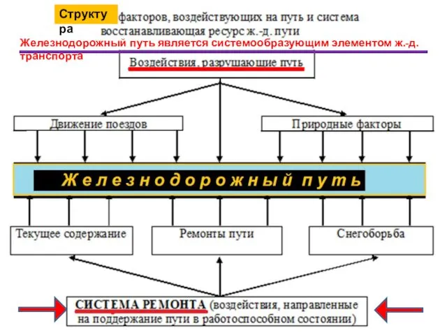 Структура Железнодорожный путь является системообразующим элементом ж.-д. транспорта