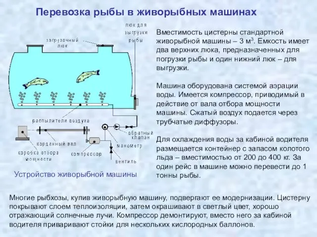 Перевозка рыбы в живорыбных машинах Вместимость цистерны стандартной живорыбной машины –