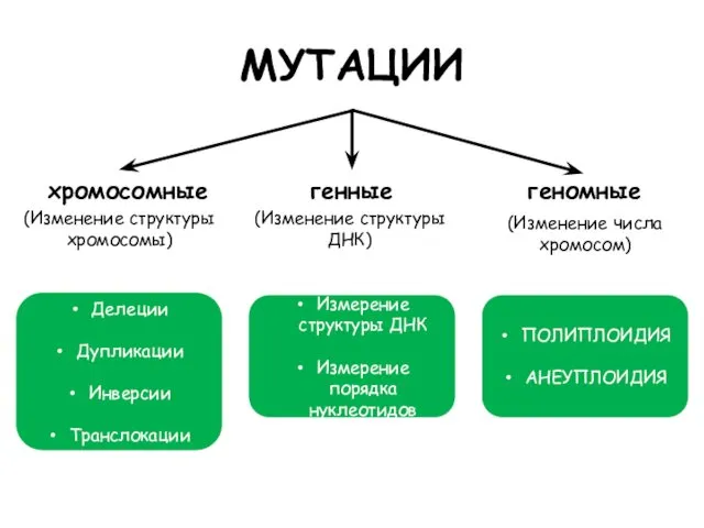 МУТАЦИИ хромосомные генные геномные (Изменение структуры хромосомы) (Изменение числа хромосом) (Изменение