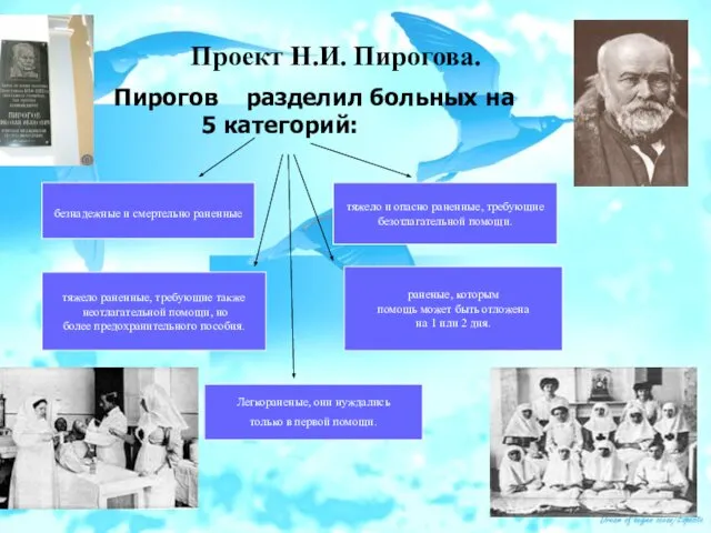 Проект Н.И. Пирогова. Пирогов разделил больных на 5 категорий: безнадежные и