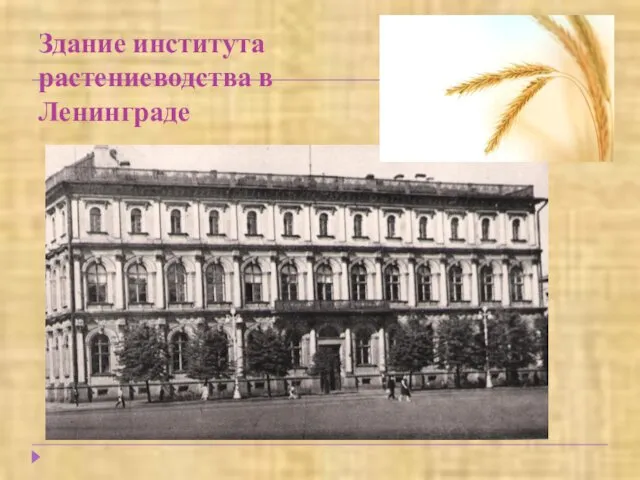 Здание института растениеводства в Ленинграде