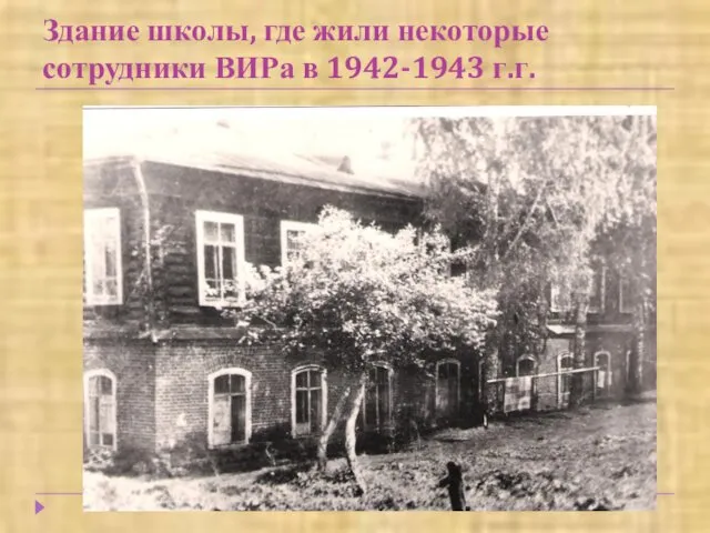 Здание школы, где жили некоторые сотрудники ВИРа в 1942-1943 г.г.