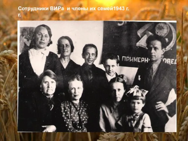 Сотрудники ВИРа и члены их семей1943 г.г.