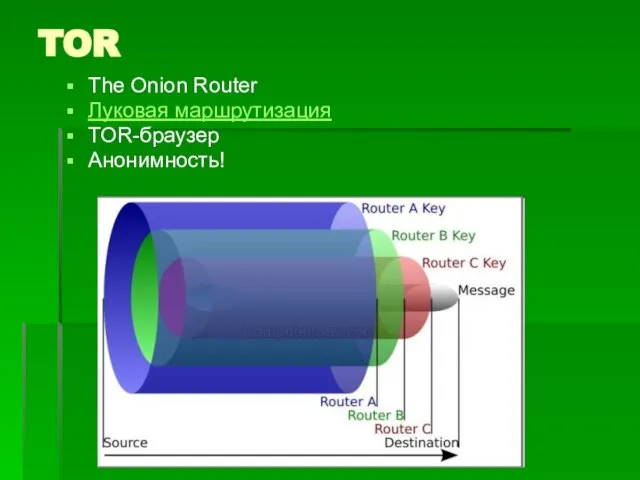 TOR The Onion Router Луковая маршрутизация TOR-браузер Анонимность!