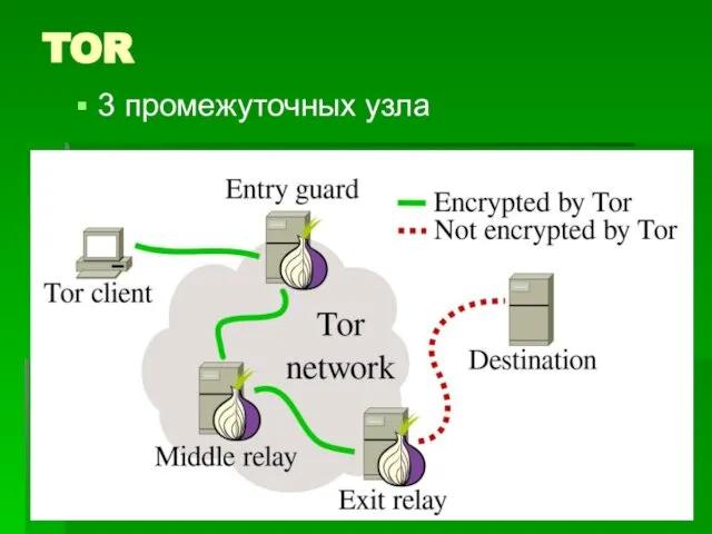 TOR 3 промежуточных узла