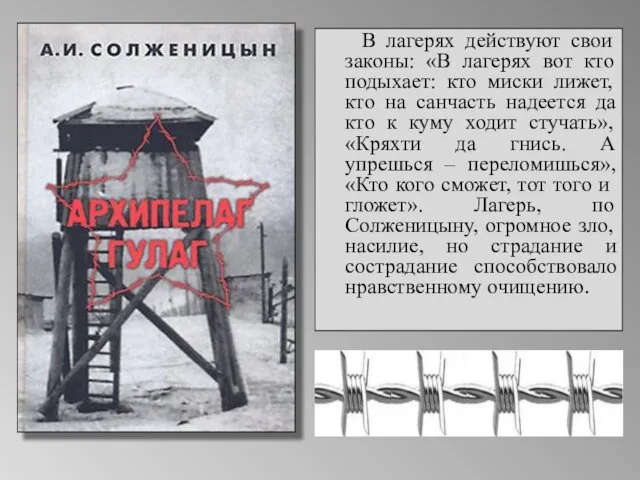 В лагерях действуют свои законы: «В лагерях вот кто подыхает: кто