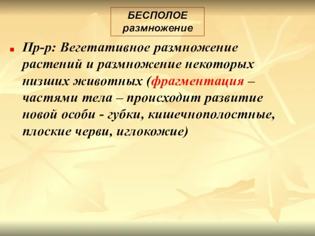 Пр-р: Вегетативное размножение растений и размножение некоторых низших животных (фрагментация –