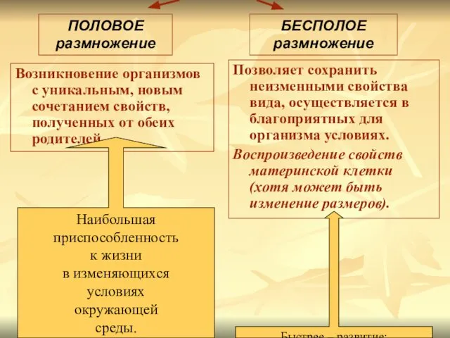 Возникновение организмов с уникальным, новым сочетанием свойств, полученных от обеих родителей