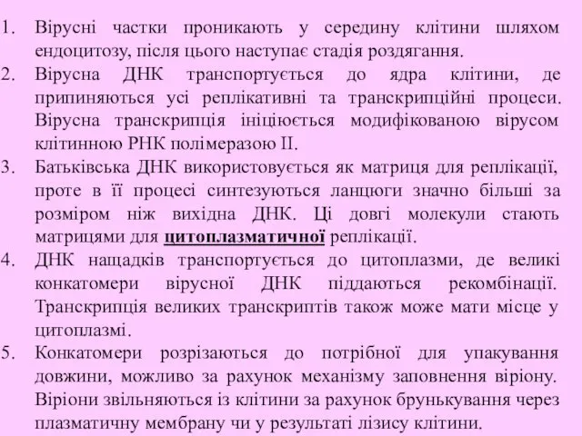 Вірусні частки проникають у середину клітини шляхом ендоцитозу, після цього наступає