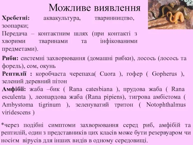 Хребетні: аквакультура, тваринництво, зоопарки; Передача – контактним шлях (при контакті з