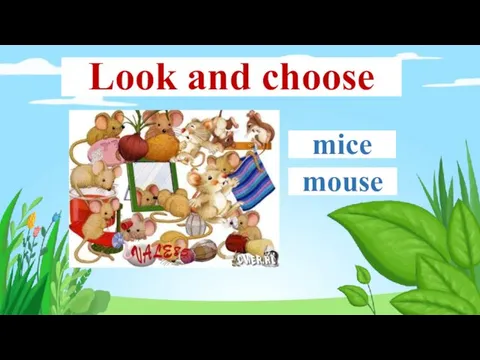 mice mouse Look and choose