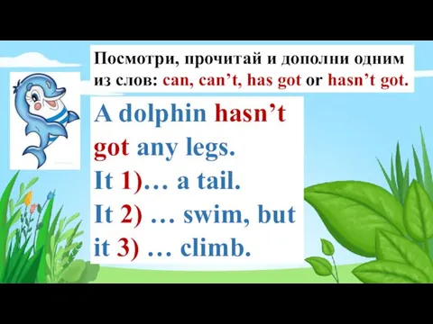 A dolphin hasn’t got any legs. It 1)… a tail. It