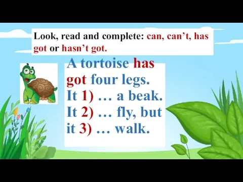 A tortoise has got four legs. It 1) … a beak.