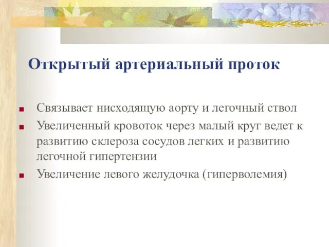 Открытый артериальный проток Связывает нисходящую аорту и легочный ствол Увеличенный кровоток