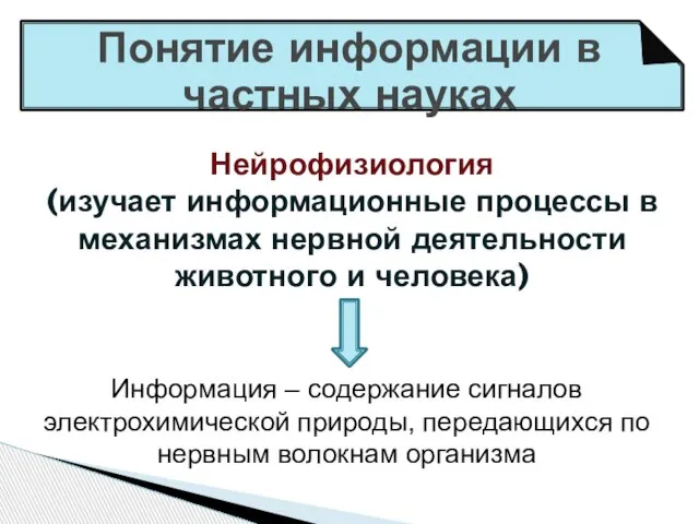 Понятие информации в частных науках Нейрофизиология (изучает информационные процессы в механизмах