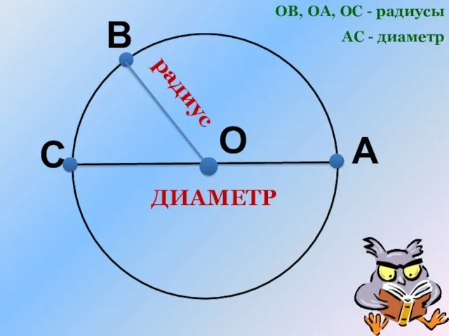 О А ОВ, ОА, ОС - радиусы АС - диаметр радиус С В ДИАМЕТР