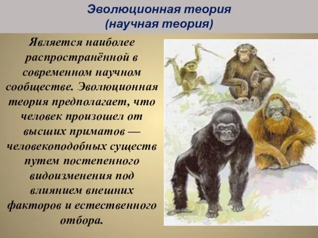 Является наиболее распространённой в современном научном сообществе. Эволюционная теория предполагает, что