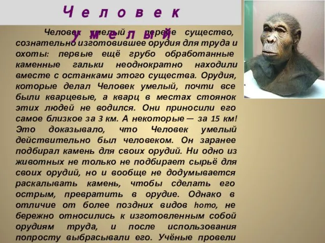 Человек умелый — первое существо, сознательно изготовившее орудия для труда и