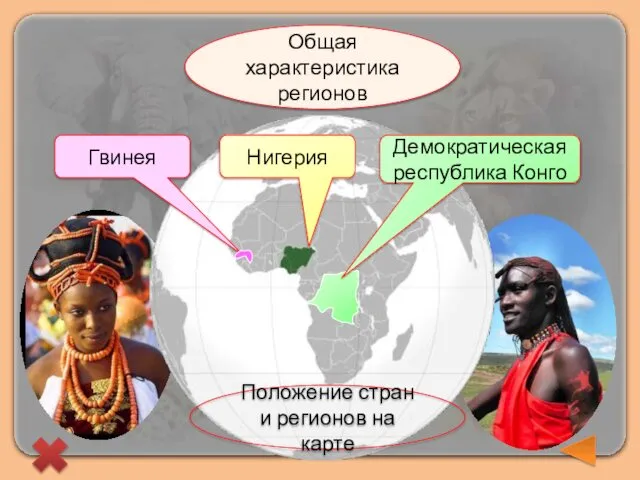 Нигерия Гвинея Общая характеристика регионов Демократическая республика Конго Положение стран и регионов на карте