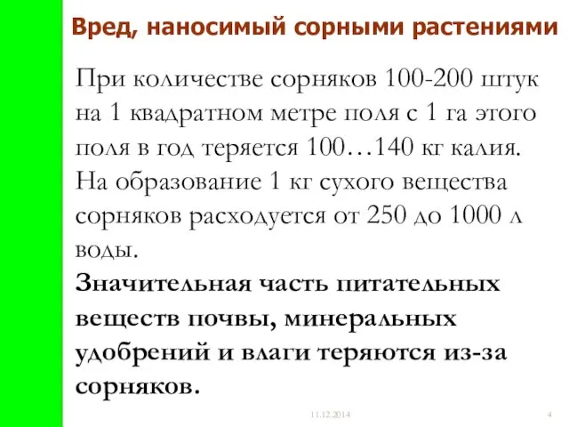 11.12.2014 При количестве сорняков 100-200 штук на 1 квадратном метре поля