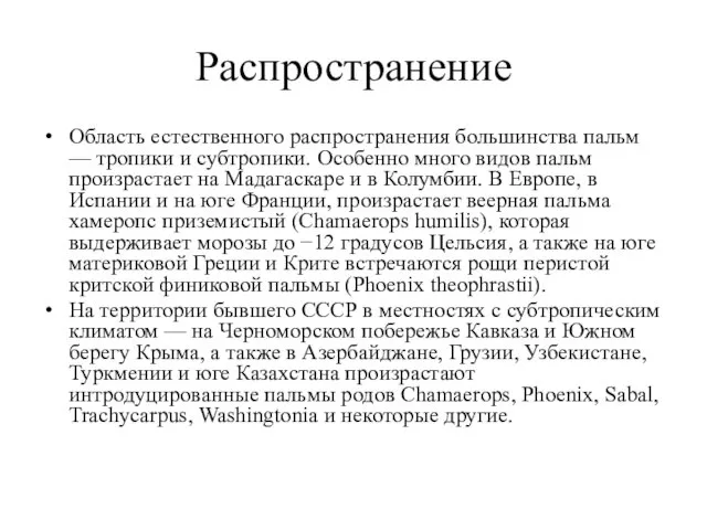 Распространение Область естественного распространения большинства пальм — тропики и субтропики. Особенно