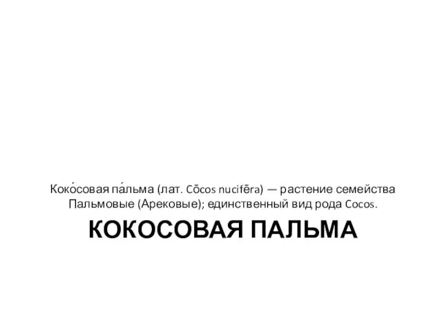 КОКОСОВАЯ ПАЛЬМА Коко́совая па́льма (лат. Cōcos nucifēra) — растение семейства Пальмовые (Арековые); единственный вид рода Cocos.