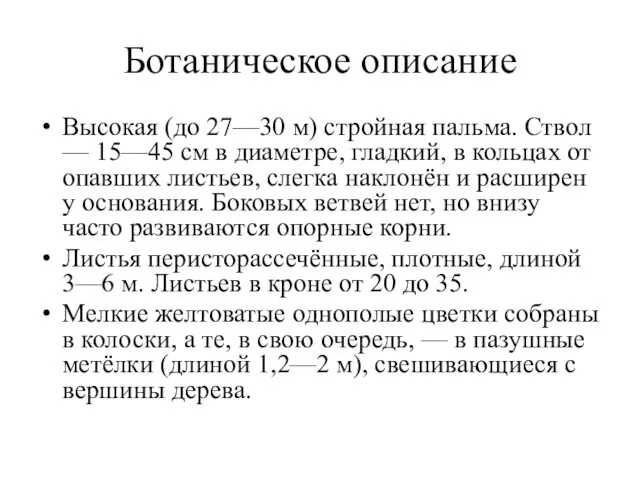 Ботаническое описание Высокая (до 27—30 м) стройная пальма. Ствол — 15—45