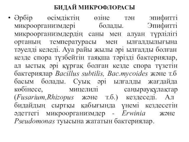 БИДАЙ МИКРОФЛОРАСЫ Әрбір өсімдіктің өзіне тән эпифитті микроорганизмдері болады. Эпифитті микроорганизмдердің