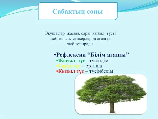 Сабақтың соңы Рефлексия “Білім ағашы” Жасыл түс– түсіндім. Сары түс –