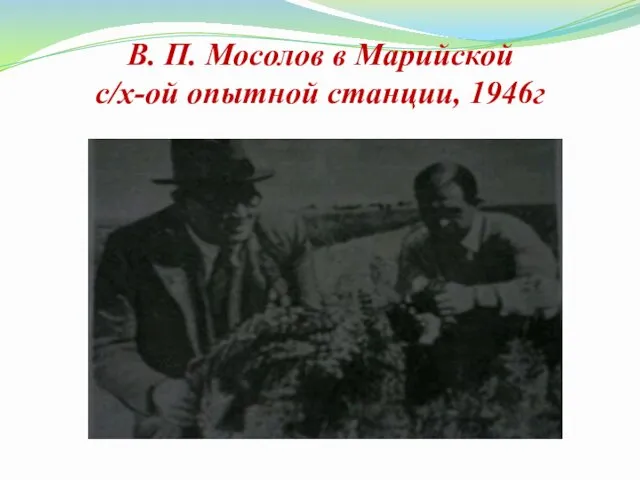 В. П. Мосолов в Марийской с/х-ой опытной станции, 1946г