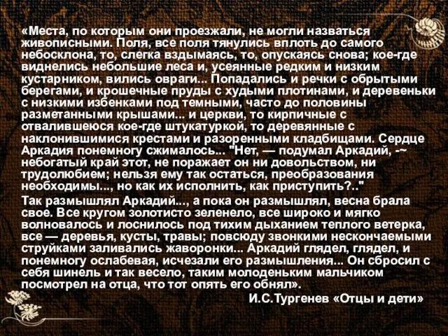 «Места, по которым они проезжали, не могли назваться живописными. Поля, все