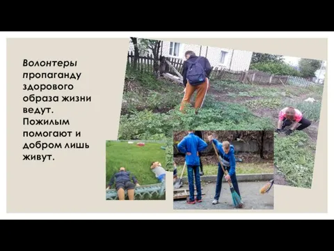 Волонтеры пропаганду здорового образа жизни ведут. Пожилым помогают и добром лишь живут.