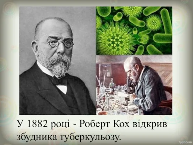 У 1882 році - Роберт Кох відкрив збудника туберкульозу.