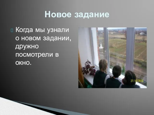 Когда мы узнали о новом задании, дружно посмотрели в окно. Новое задание