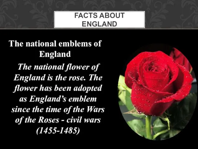 FACTS ABOUT ENGLAND The national emblems of England The national flower