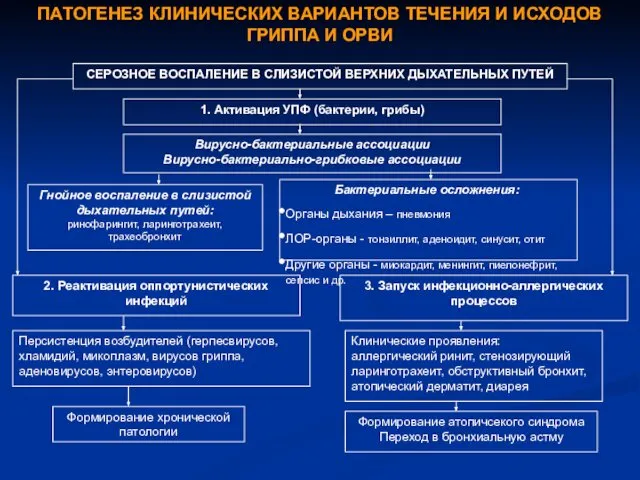 ПАТОГЕНЕЗ КЛИНИЧЕСКИХ ВАРИАНТОВ ТЕЧЕНИЯ И ИСХОДОВ ГРИППА И ОРВИ СЕРОЗНОЕ ВОСПАЛЕНИЕ