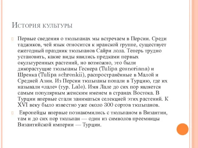 История культуры Первые сведения о тюльпанах мы встречаем в Персии. Среди