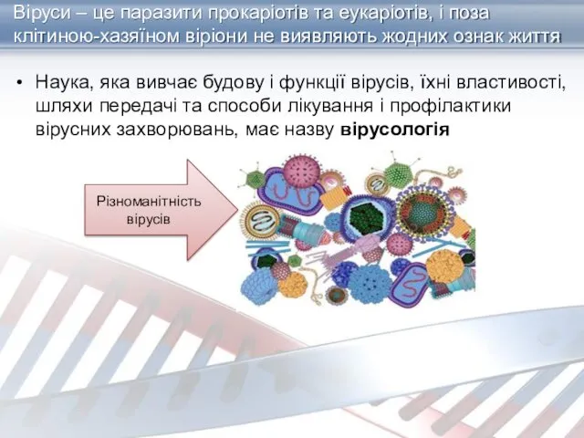 Віруси – це паразити прокаріотів та еукаріотів, і поза клітиною-хазяїном віріони