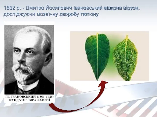 1892 р. - Дмитро Йосипович Івановський відкрив віруси, досліджуючи мозаїчну хворобу тютюну