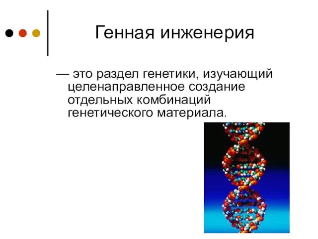 Генная инженерия — это раздел генетики, изучающий целенаправленное создание отдельных комбинаций генетического материала.