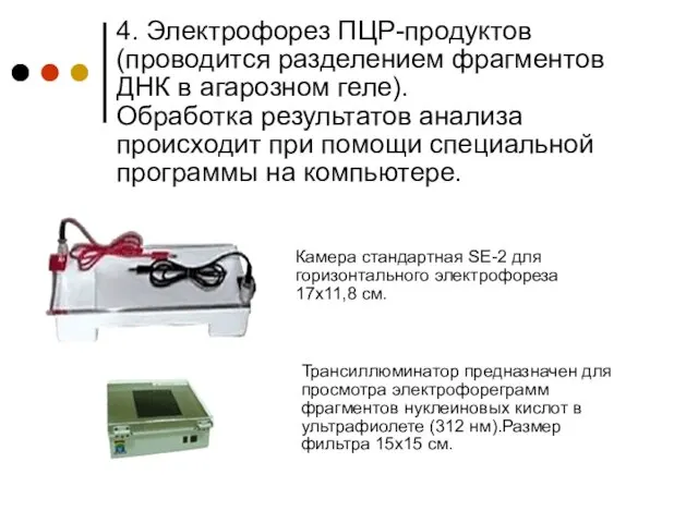 4. Электрофорез ПЦР-продуктов (проводится разделением фрагментов ДНК в агарозном геле). Обработка